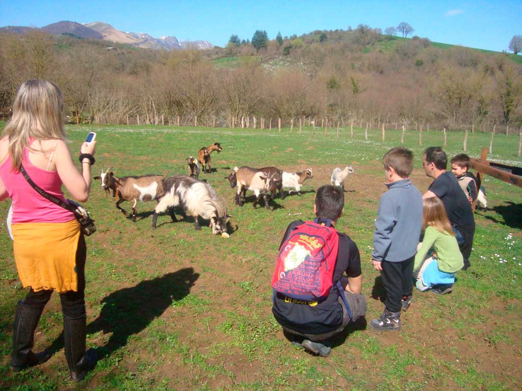 Niños alimentando a las cabras de casa rural Katxenea :: Agroturismos en Navarra