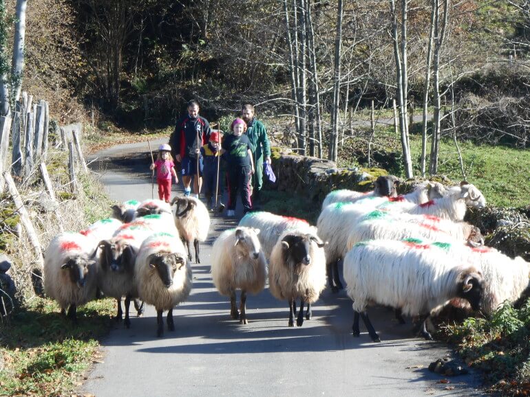 Paseos por el campo acompañando a las ovejas en casa rural Kastonea, Erratzu, Valle de Baztan :: Abelore, casas rurales de Agoturismo en Navarra