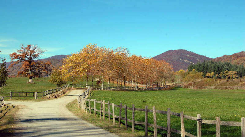Valle de Ultzama - Turismo rural de agroturismo en Navarra