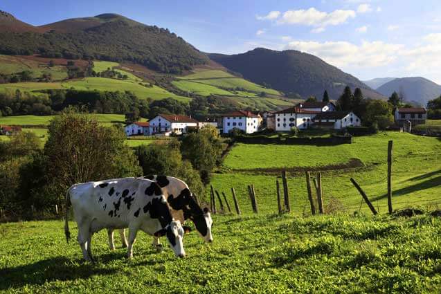 Alrededores y vistas desde casa rural Jauregia, Aniz, valle de Baztan :: Agroturismos en Navarra
