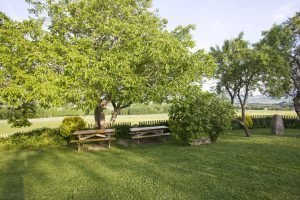 Casa rural Loretxea, zona verde - jardín :: Agroturismo en Navarra