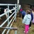 Agroturismos en Navarra :: Los peques dando de comer a las vacas